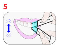 Step 5