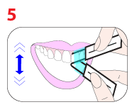 Step 5